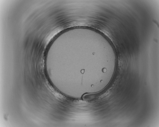 X0000102531119200808291814