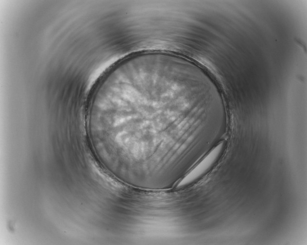 X0000102531120200808291814