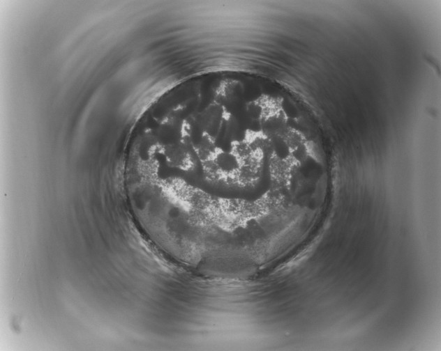 X0000102531121200808291814