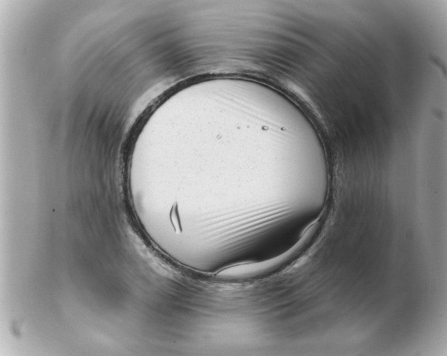 X0000102531122200808291814