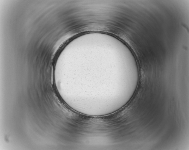 X0000102531123200808291814