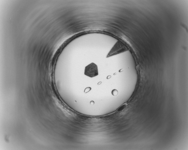 X0000102531124200808291814