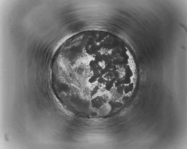 X0000102531125200808291814