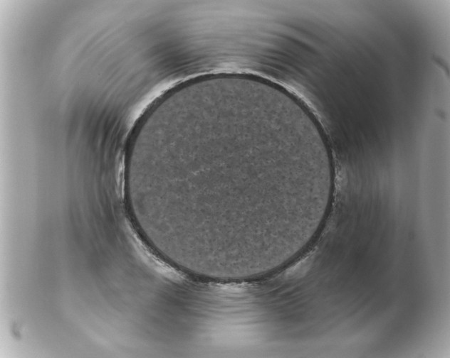 X0000102531126200808291814