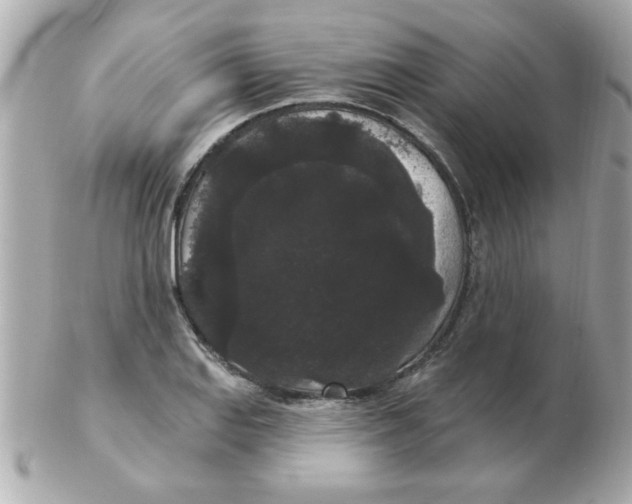 X0000102531127200808291814