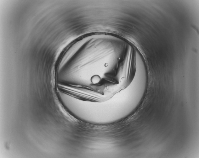 X0000102531128200808291814