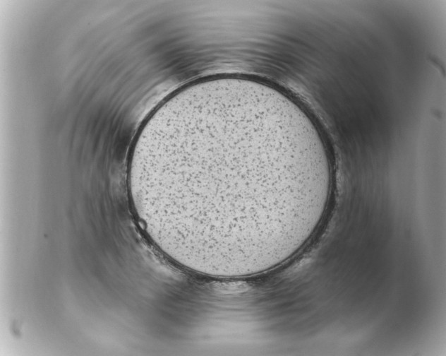 X0000102531129200808291814