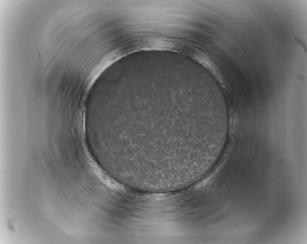 X0000102531130200808291814