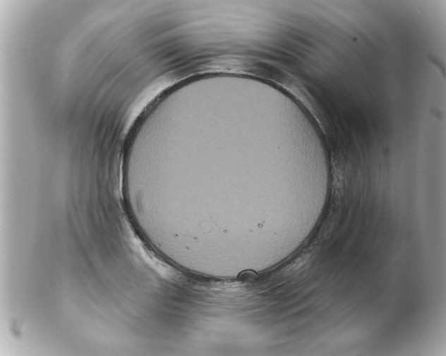 X0000102531131200808291814