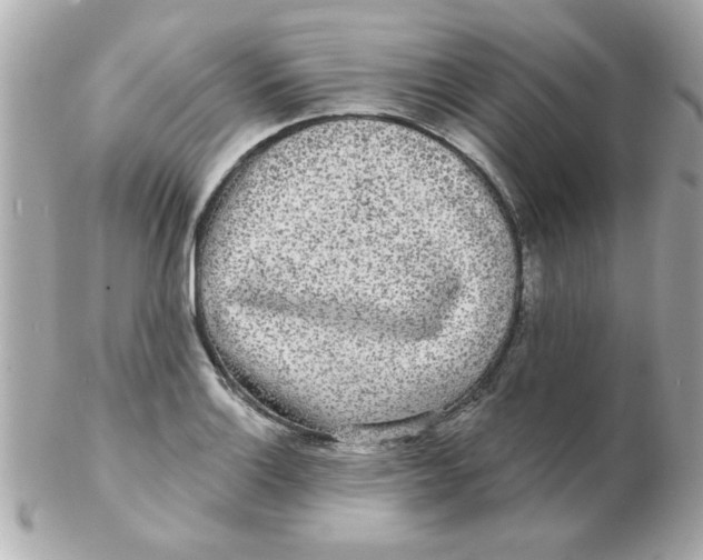 X0000102531132200808291814