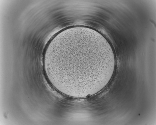 X0000102531133200808291814