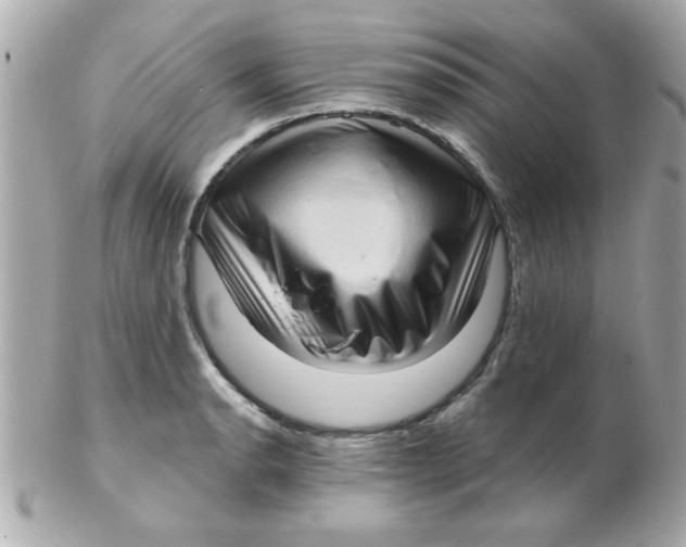 X0000102531134200808291814