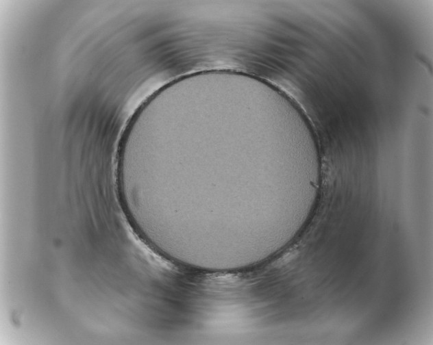 X0000102531135200808291814