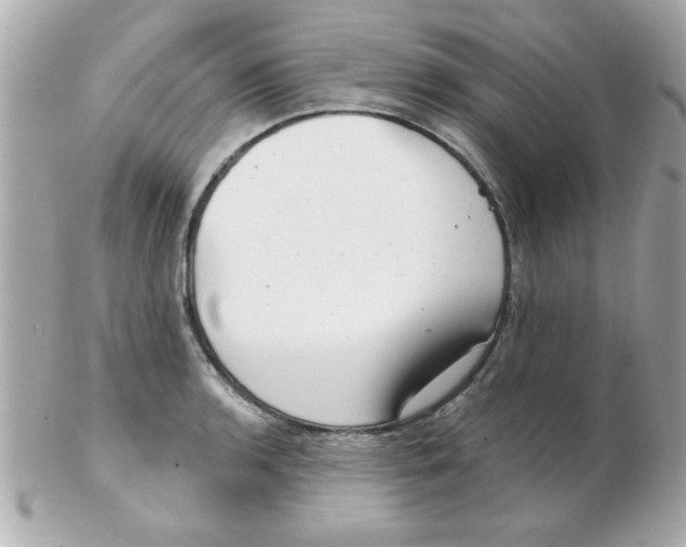 X0000102531136200808291814