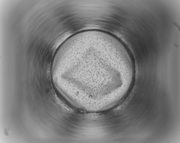 X0000102531137200808291814