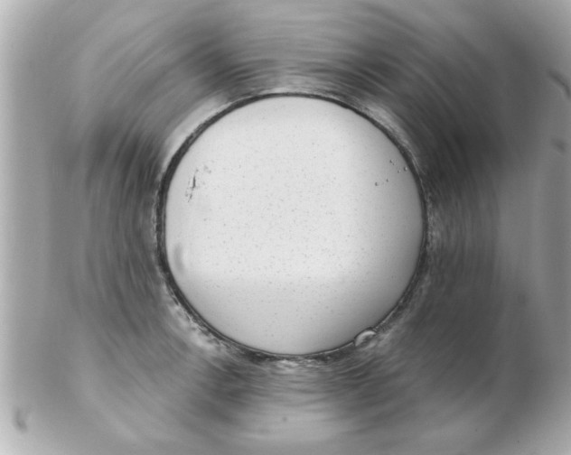 X0000102531138200808291814