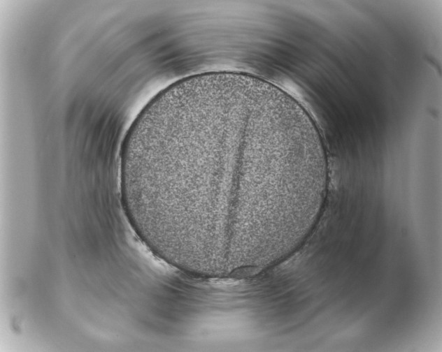 X0000102531140200808291814