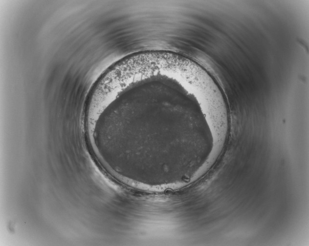 X0000102531141200808291814