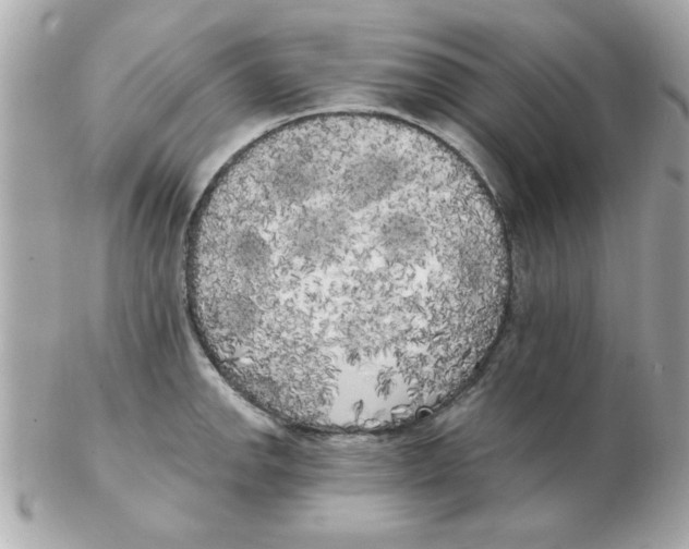 X0000102531142200808291814