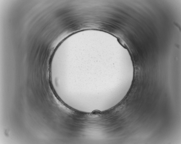 X0000102531143200808291814