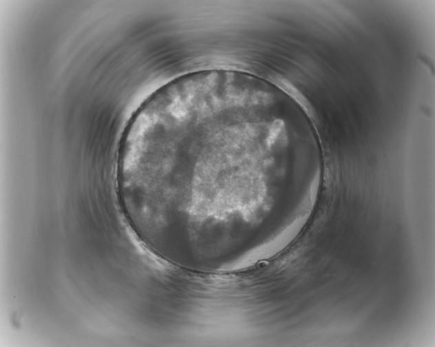 X0000102531144200808291814