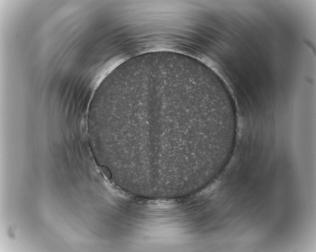 X0000102531145200808291814