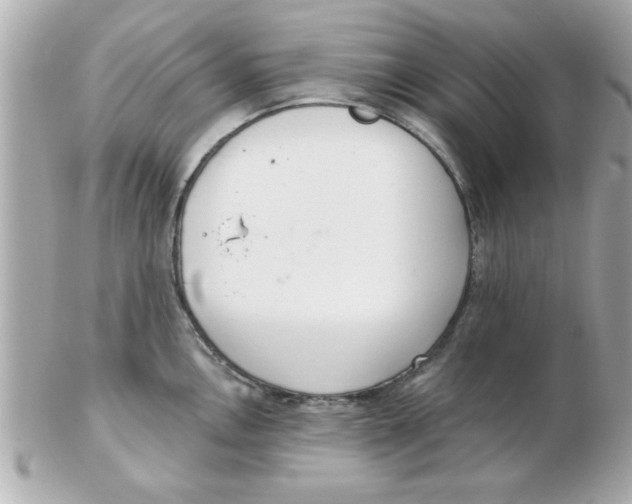 X0000102531146200808291814