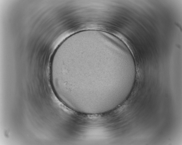 X0000102531147200808291814