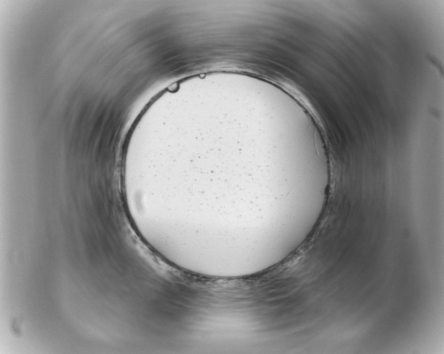 X0000102531148200808291814