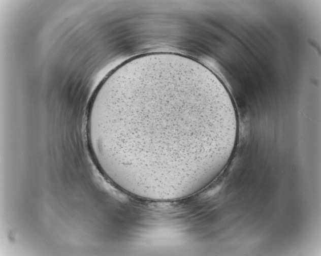 X0000102531149200808291814