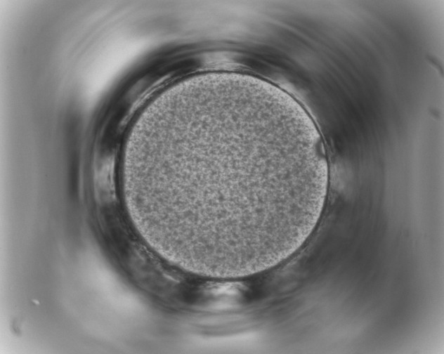 X0000102531150200808291814