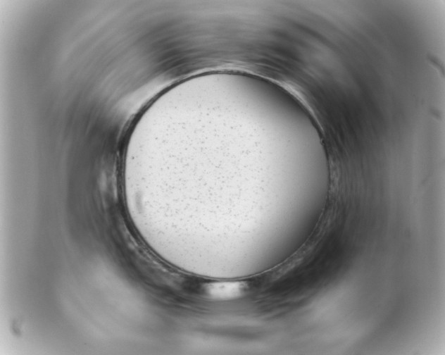 X0000102531151200808291814