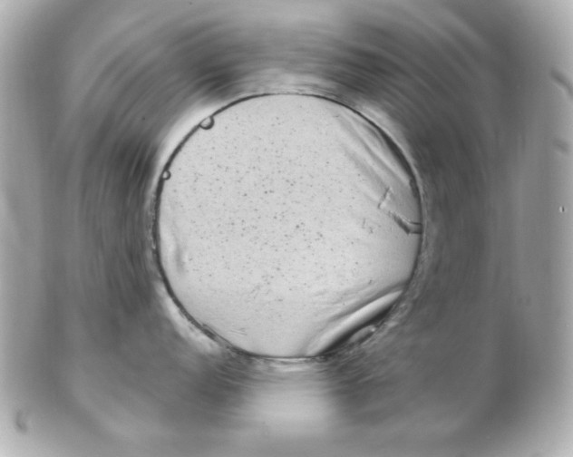 X0000102531152200808291814