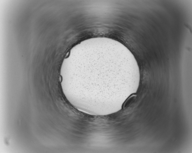 X0000102531153200808291814