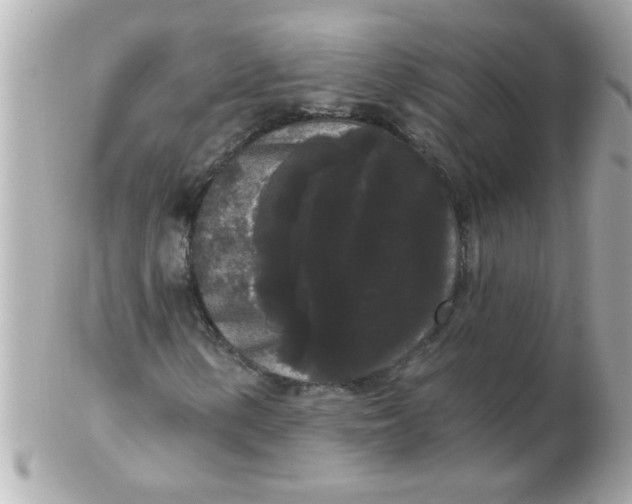 X0000102531154200808291814