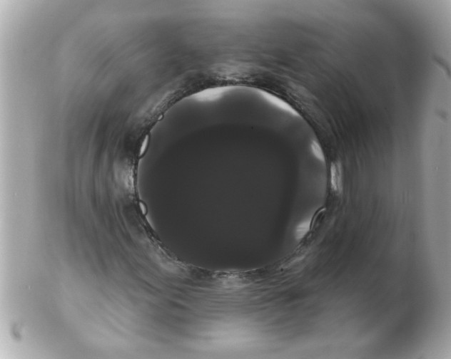 X0000102531155200808291814