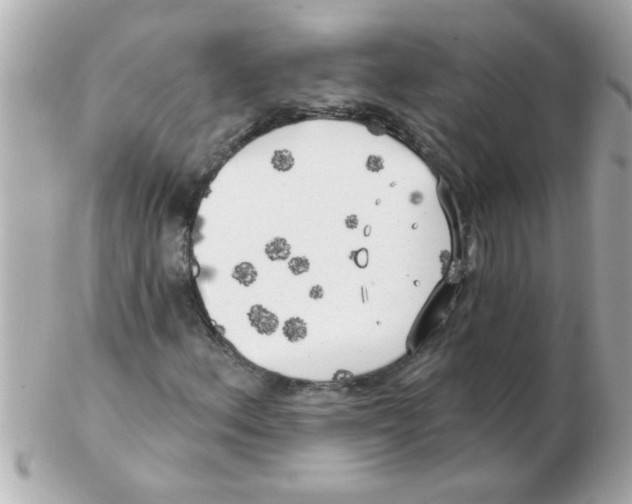 X0000102531156200808291814