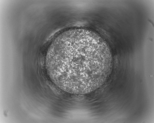 X0000102531158200808291814