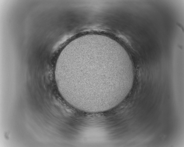 X0000102531159200808291813