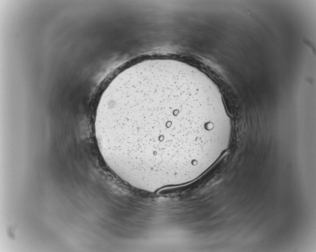 X0000102531160200808291813