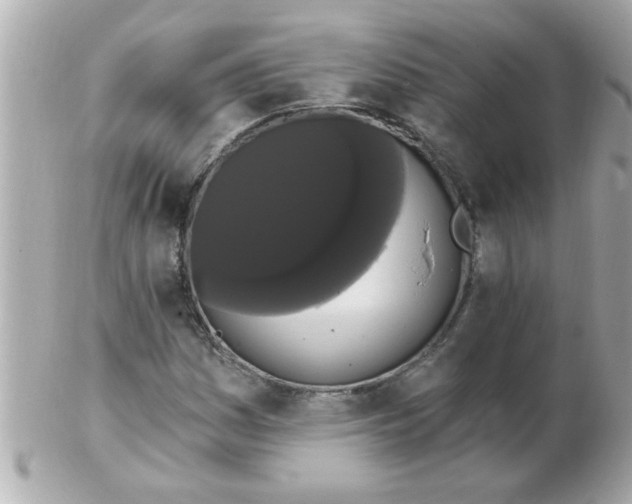 X0000102531161200808291813