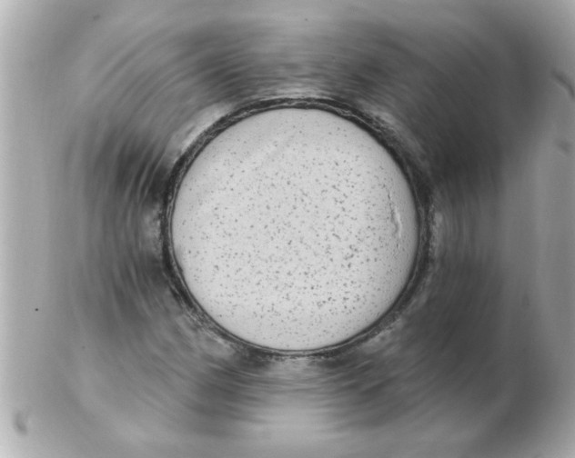 X0000102531162200808291813