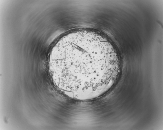 X0000102531163200808291813