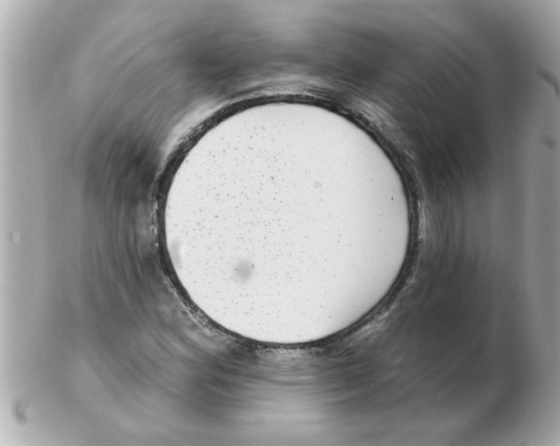 X0000102531164200808291813