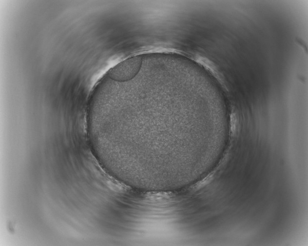 X0000102531165200808291813