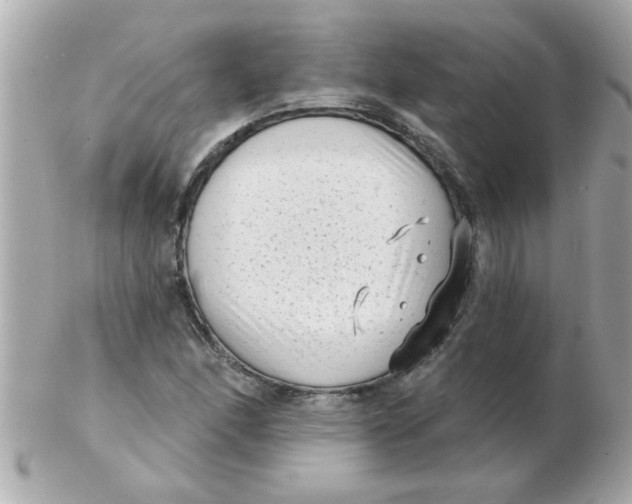 X0000102531166200808291813