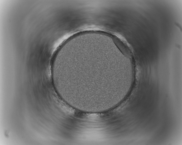 X0000102531167200808291813