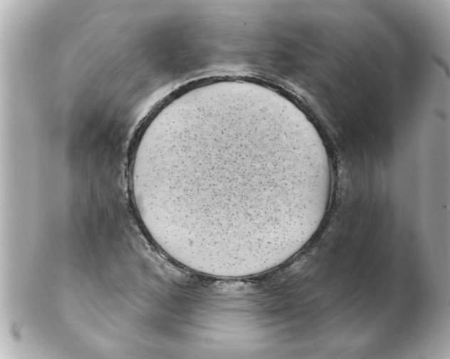 X0000102531168200808291813