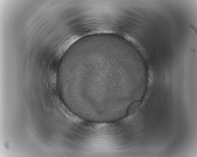 X0000102531169200808291813