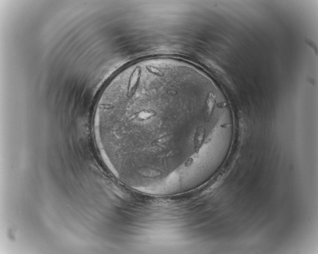 X0000102531170200808291813